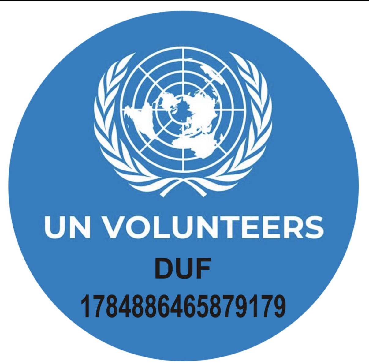 United Nation Volunteer Awards